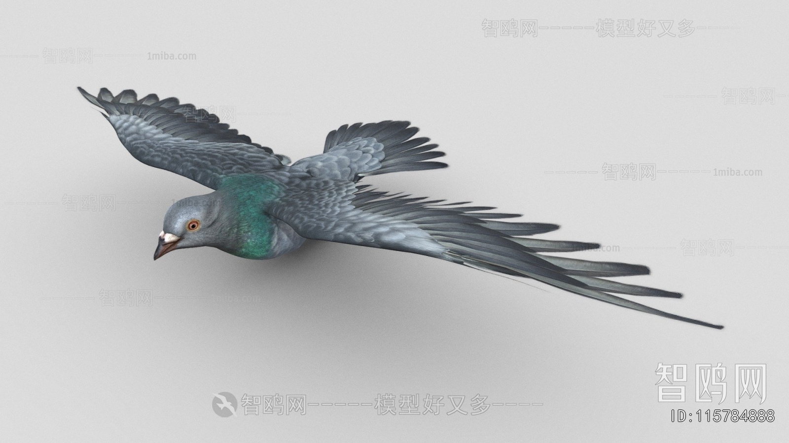 Modern Flying Animals