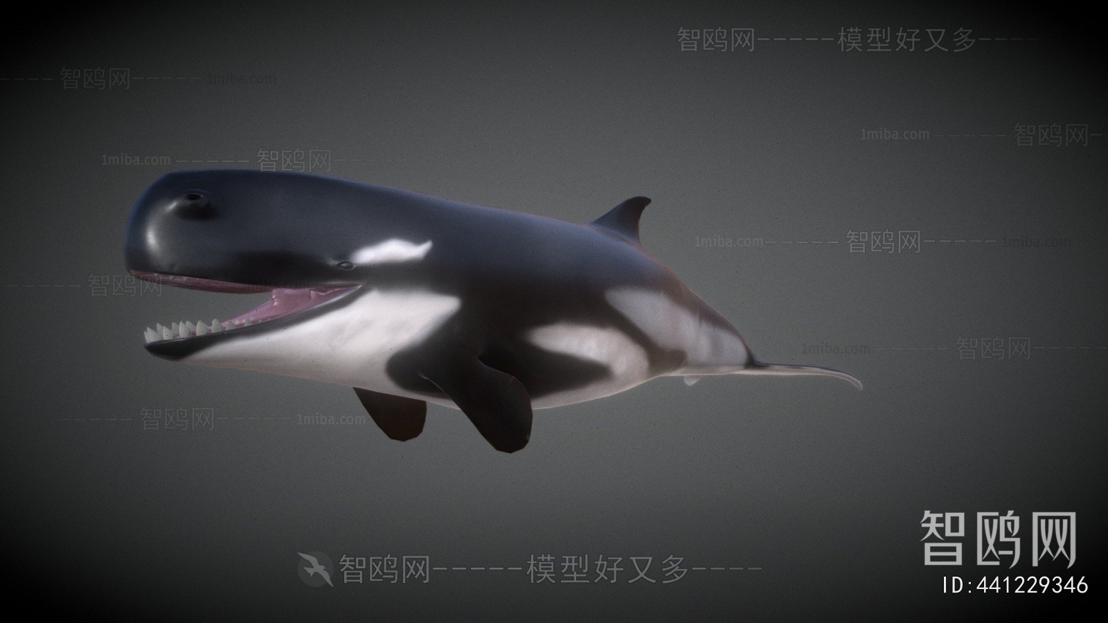 Modern Aquatic Animals