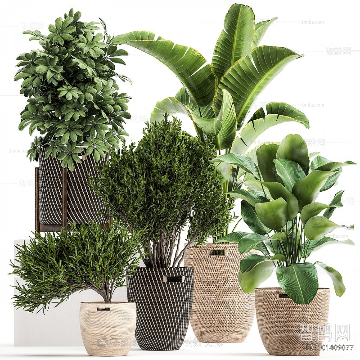 Modern Ground Green Plant Potted Plants