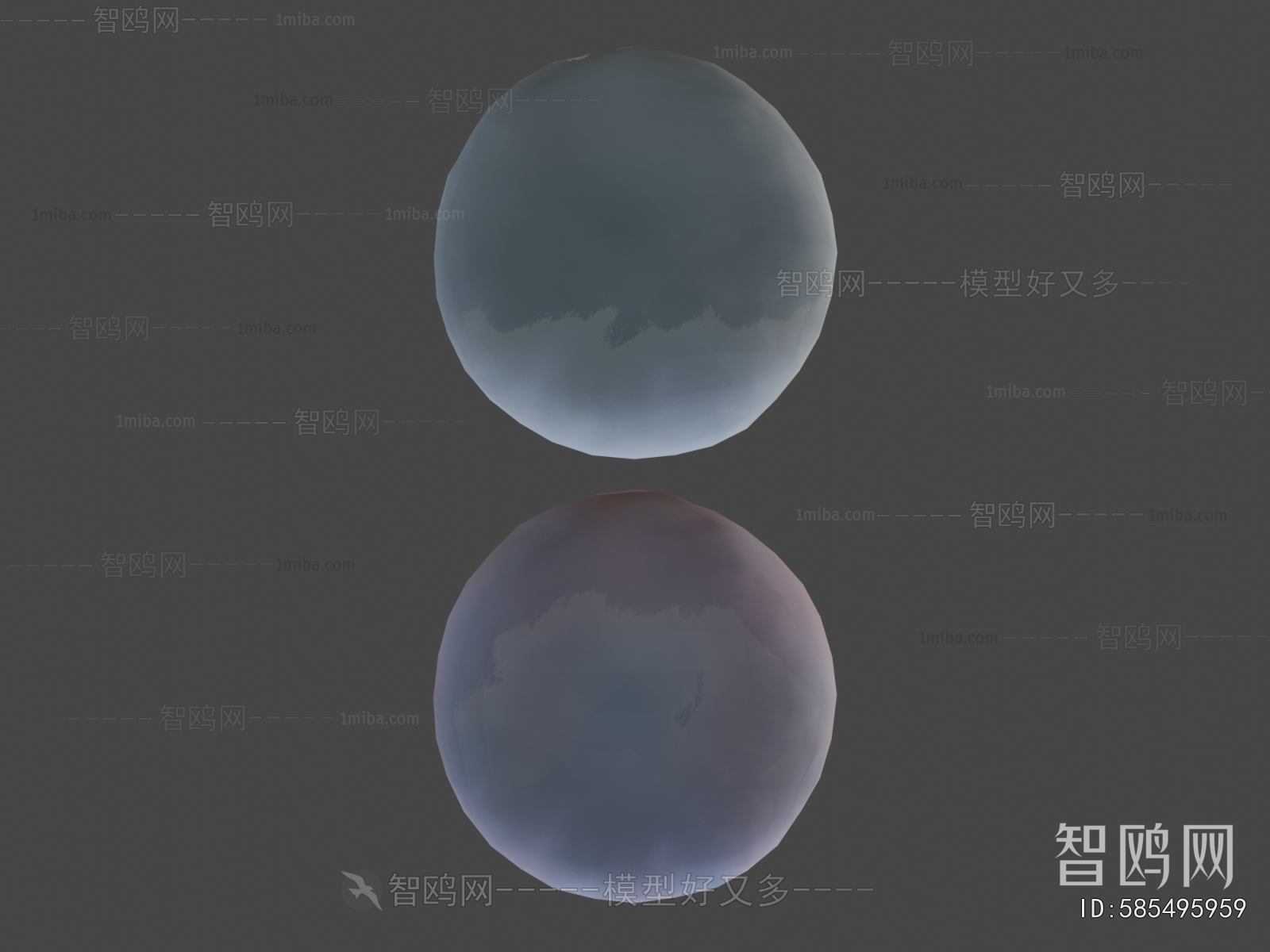 Modern Aquatic Animals