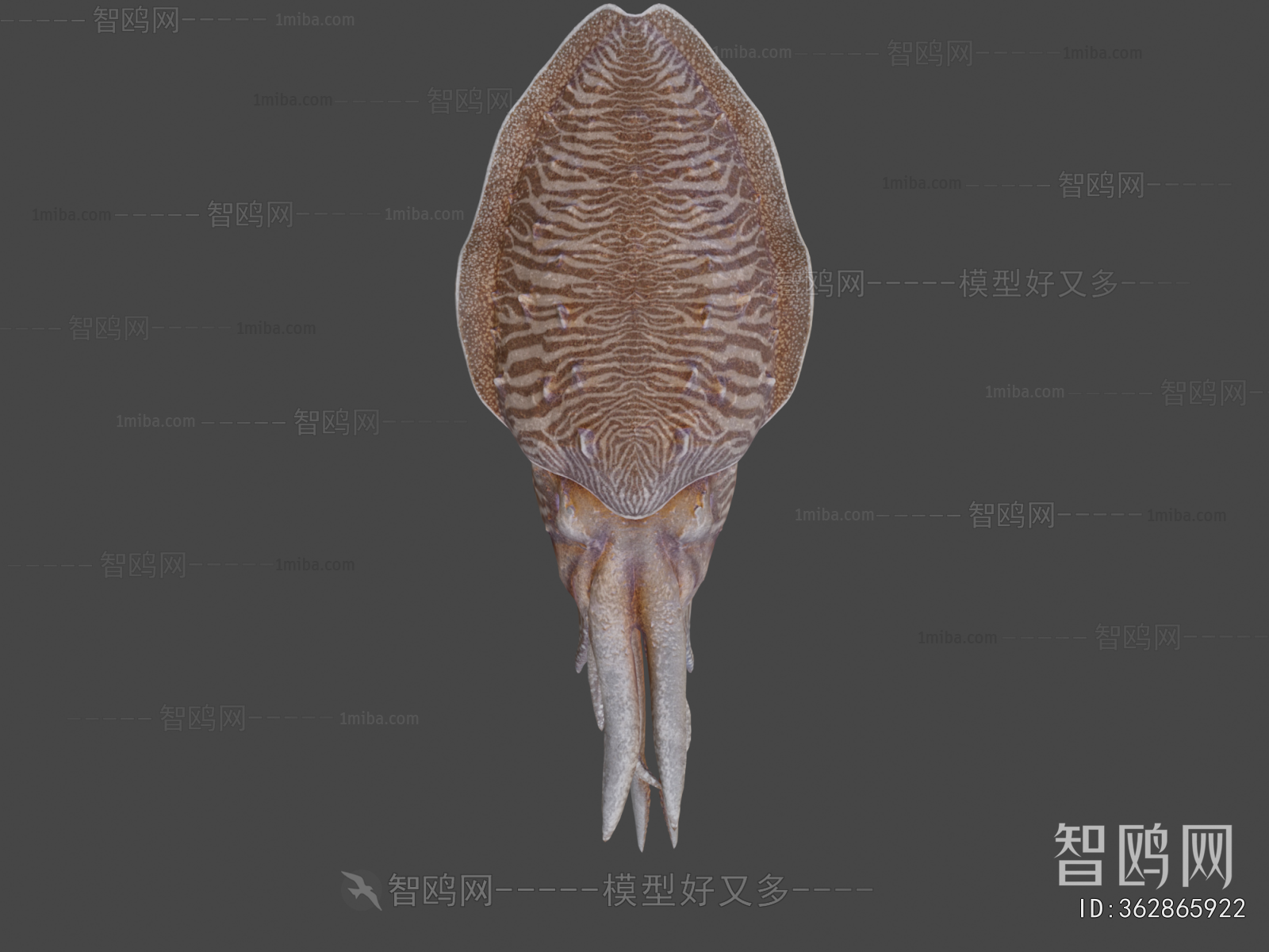 Modern Aquatic Animals