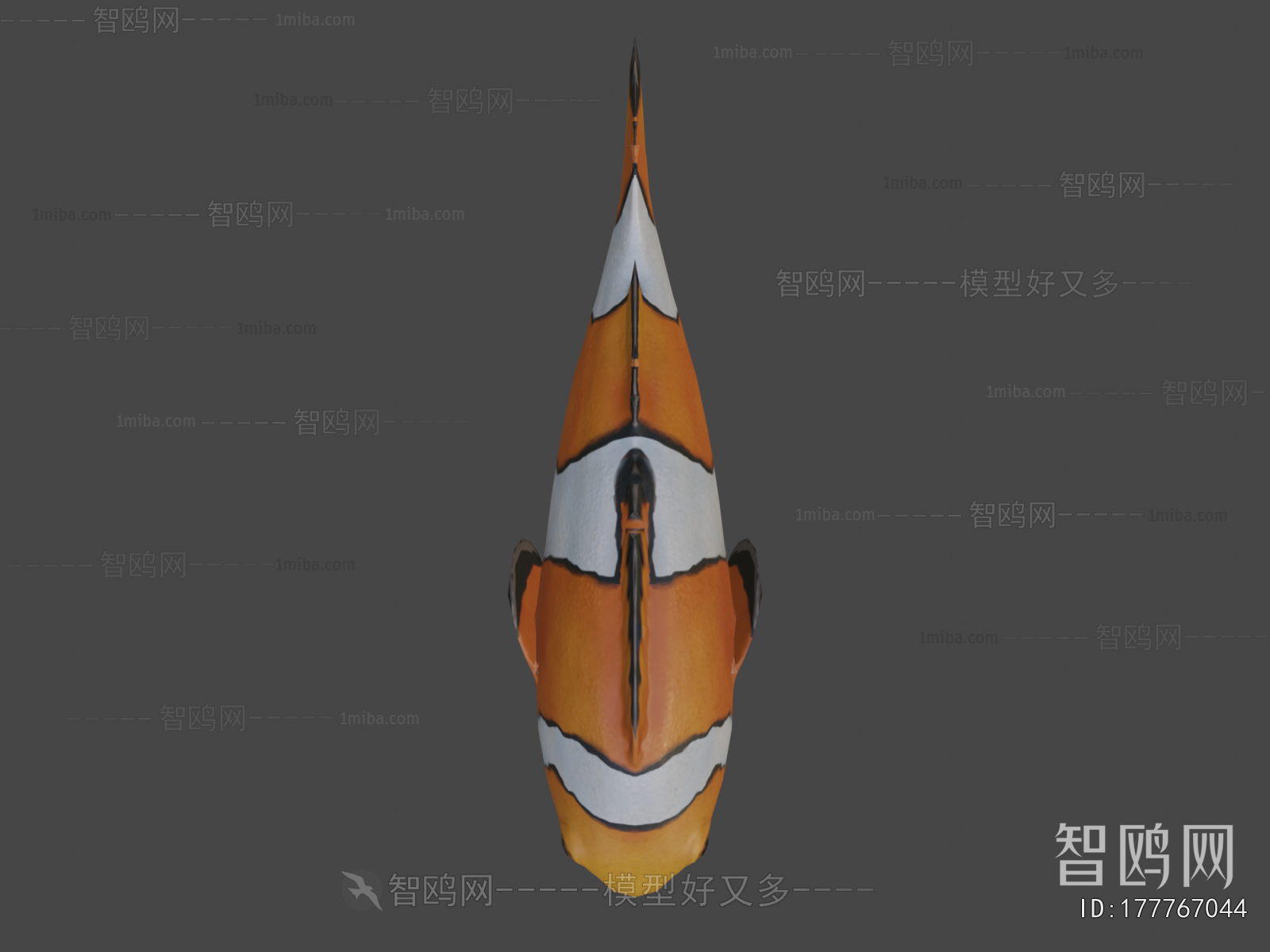 Modern Aquatic Animals