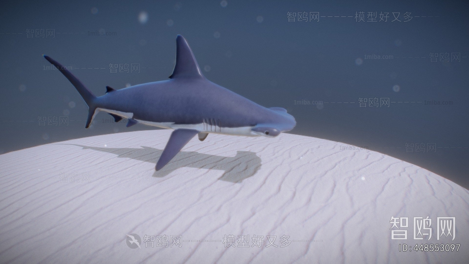 Modern Aquatic Animals