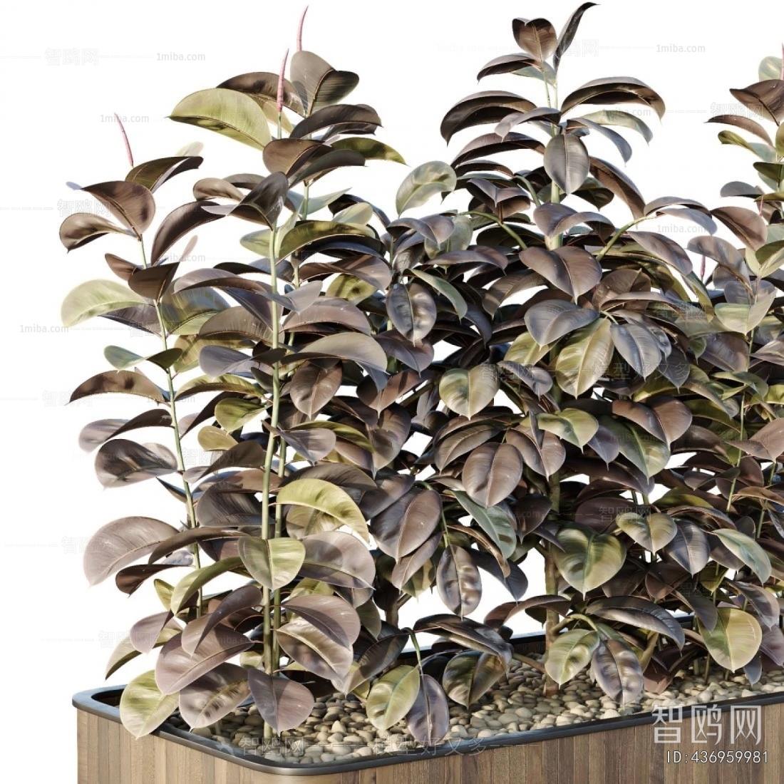 Modern Plant Landscaping