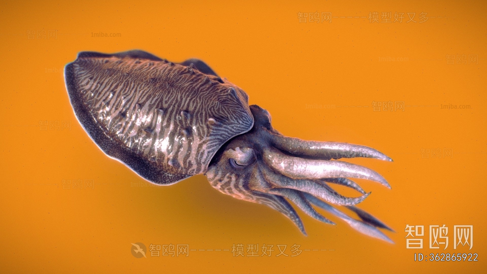 Modern Aquatic Animals