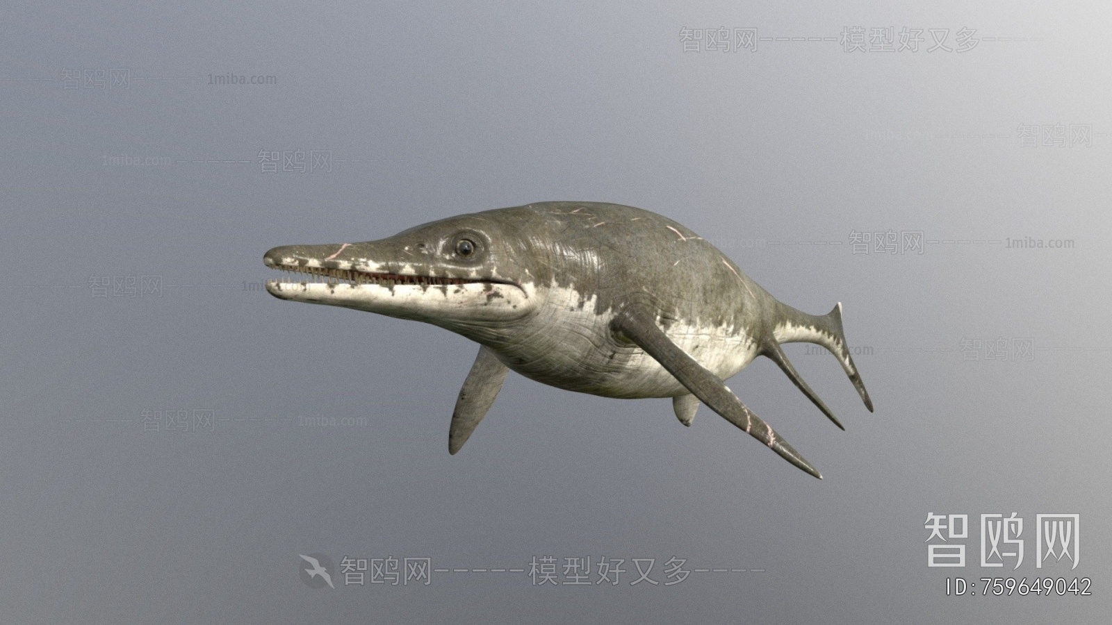 Modern Aquatic Animals