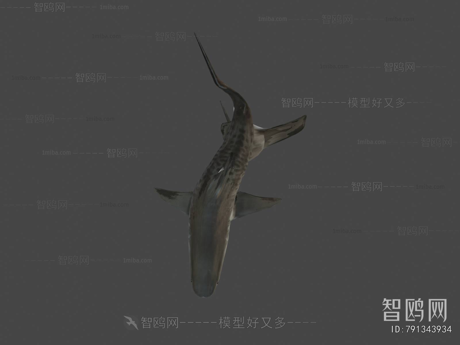 Modern Aquatic Product