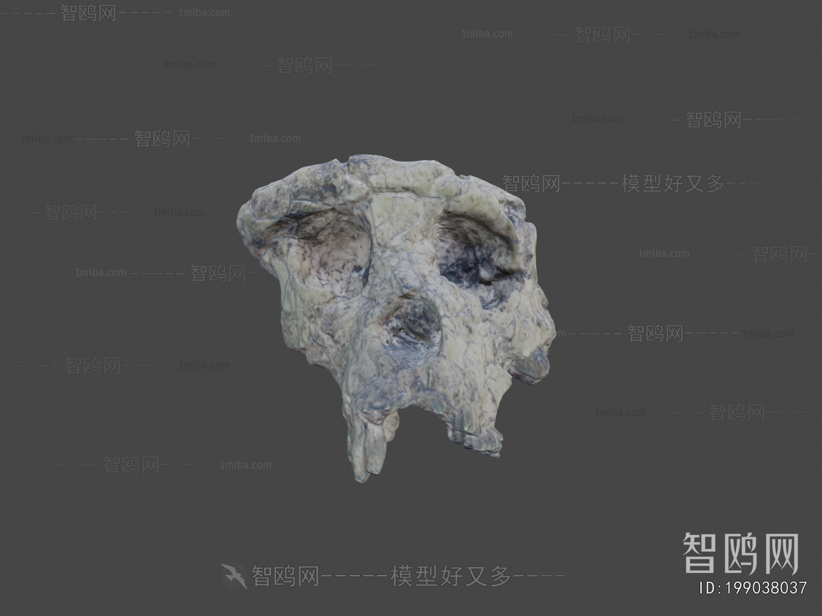 Modern Medical Equipment