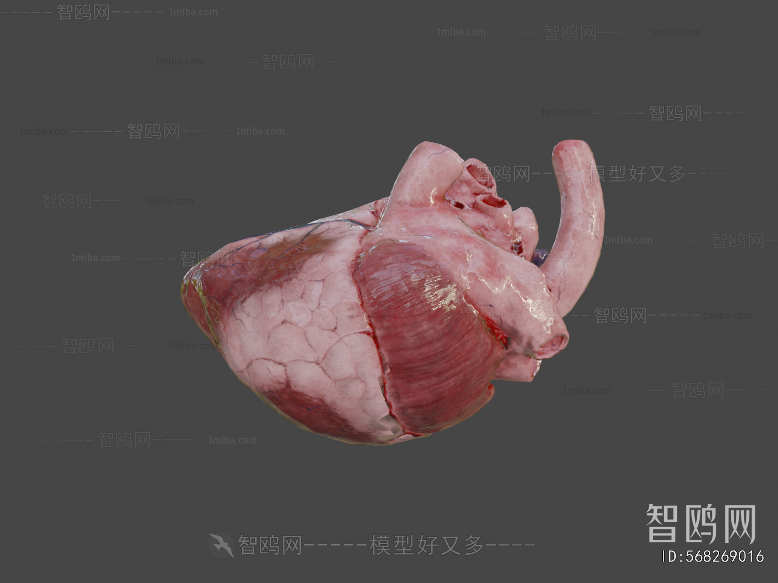 Modern Medical Equipment