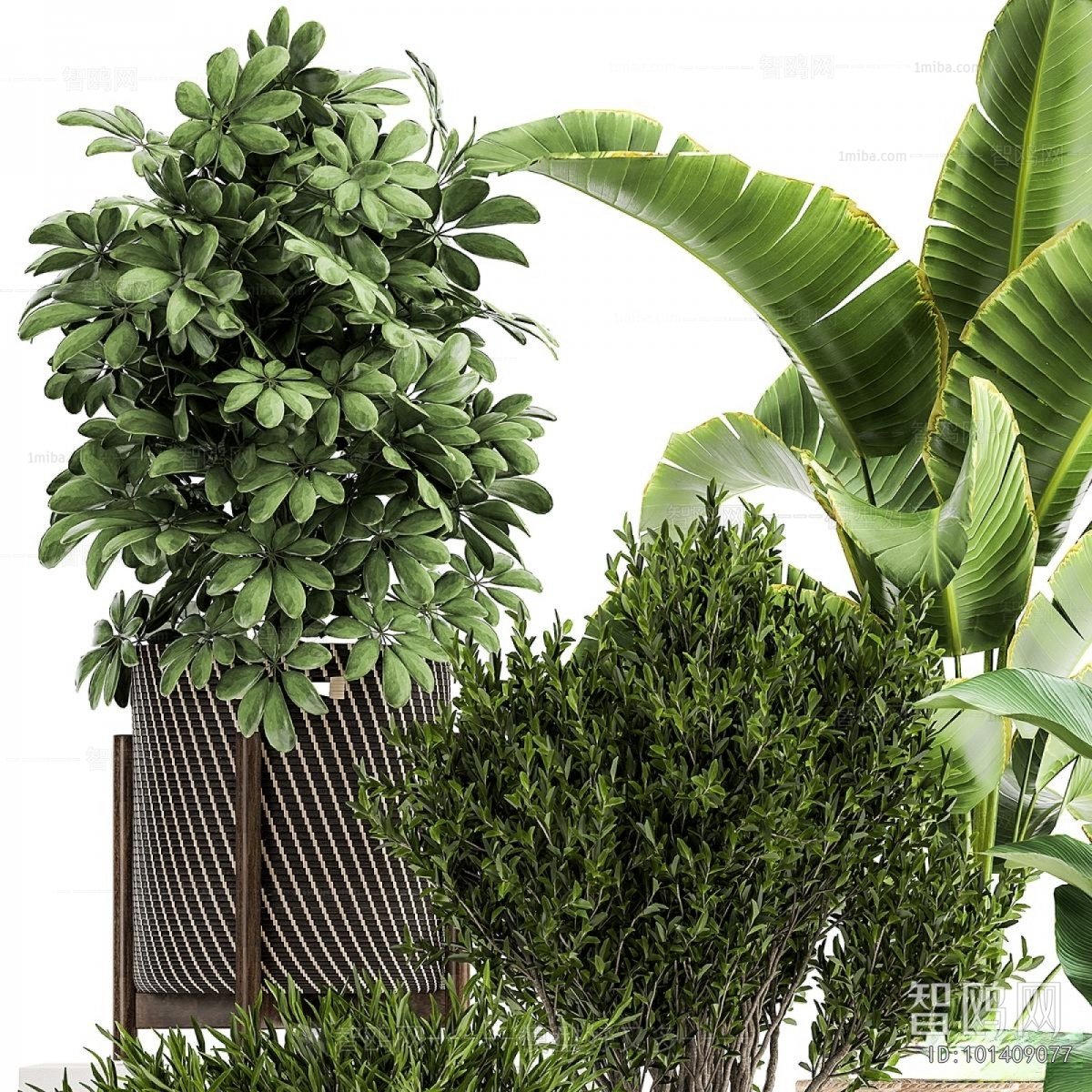 Modern Ground Green Plant Potted Plants