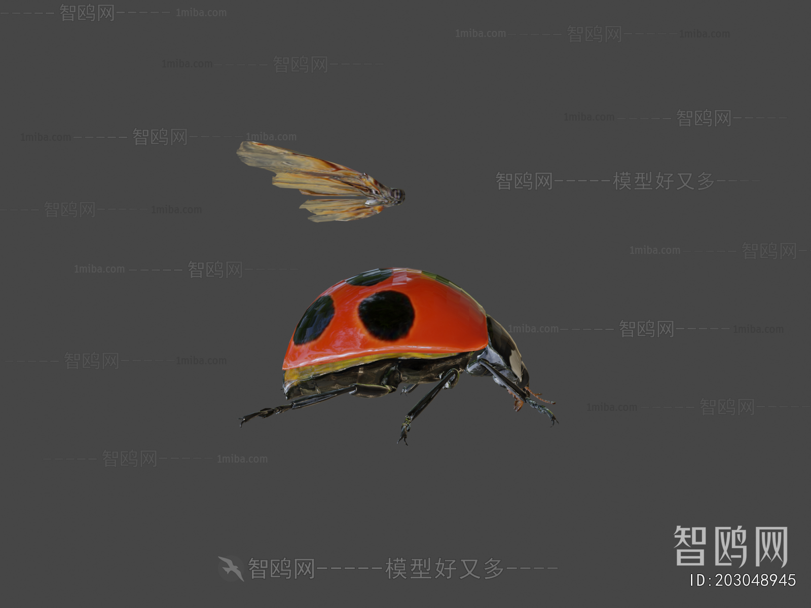 Modern Flying Animals