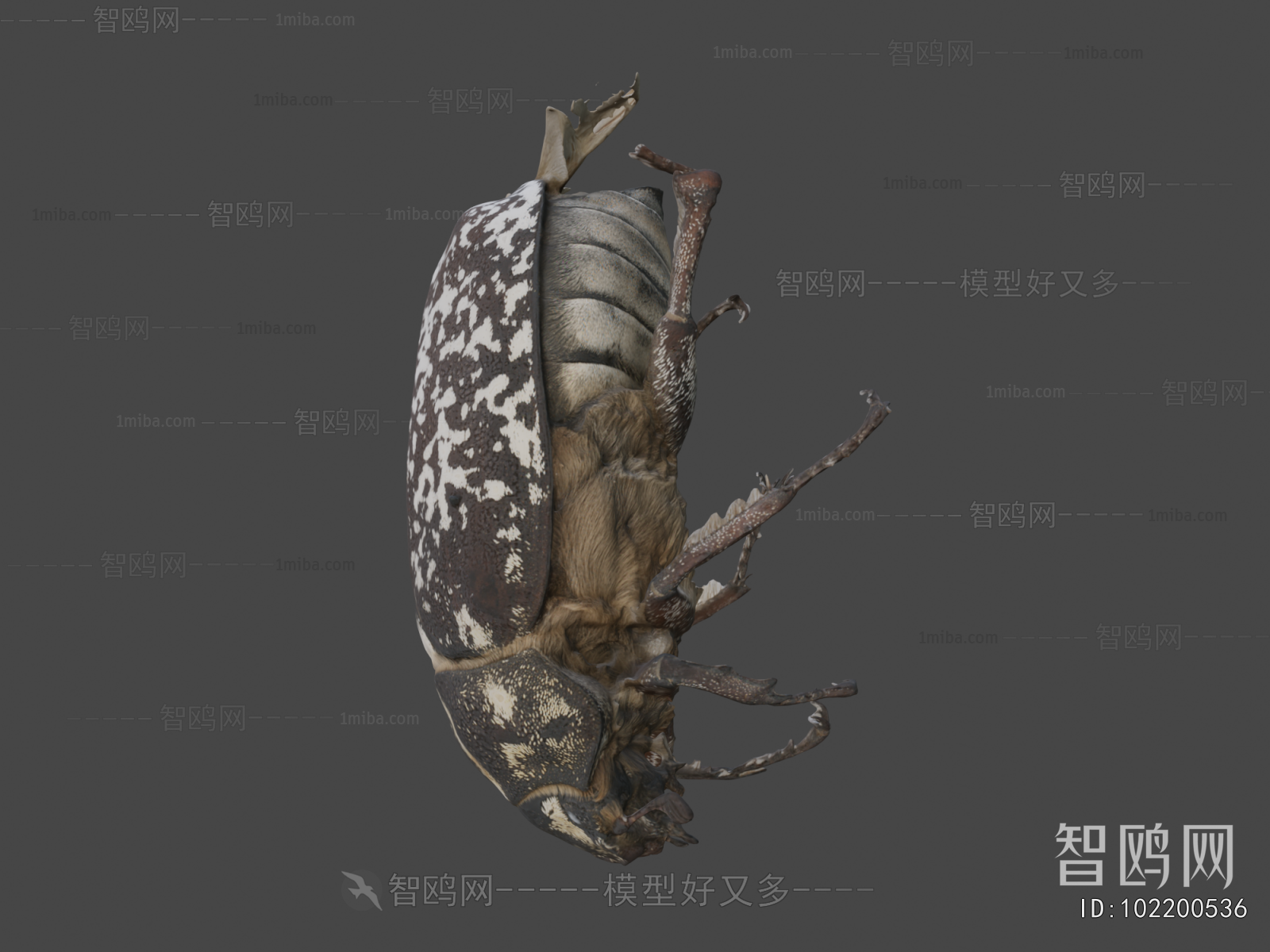 Modern Other Animals