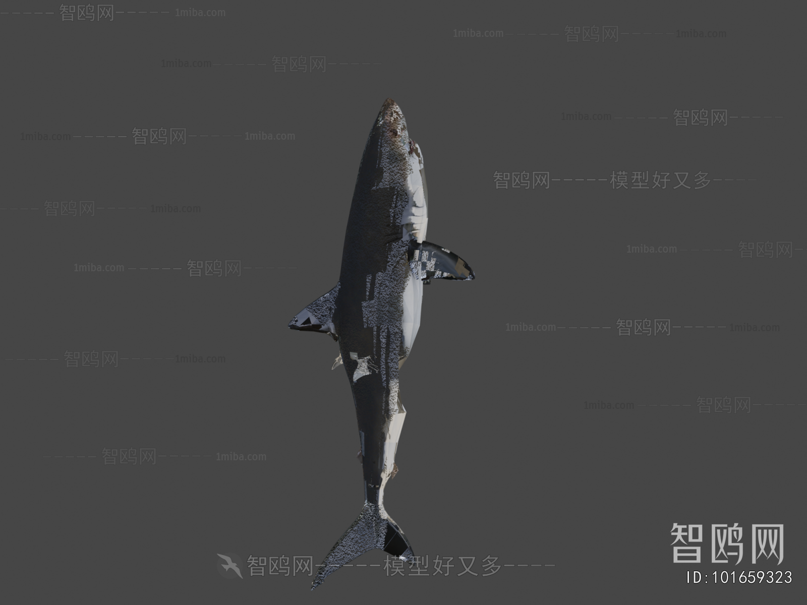 Modern Aquatic Animals