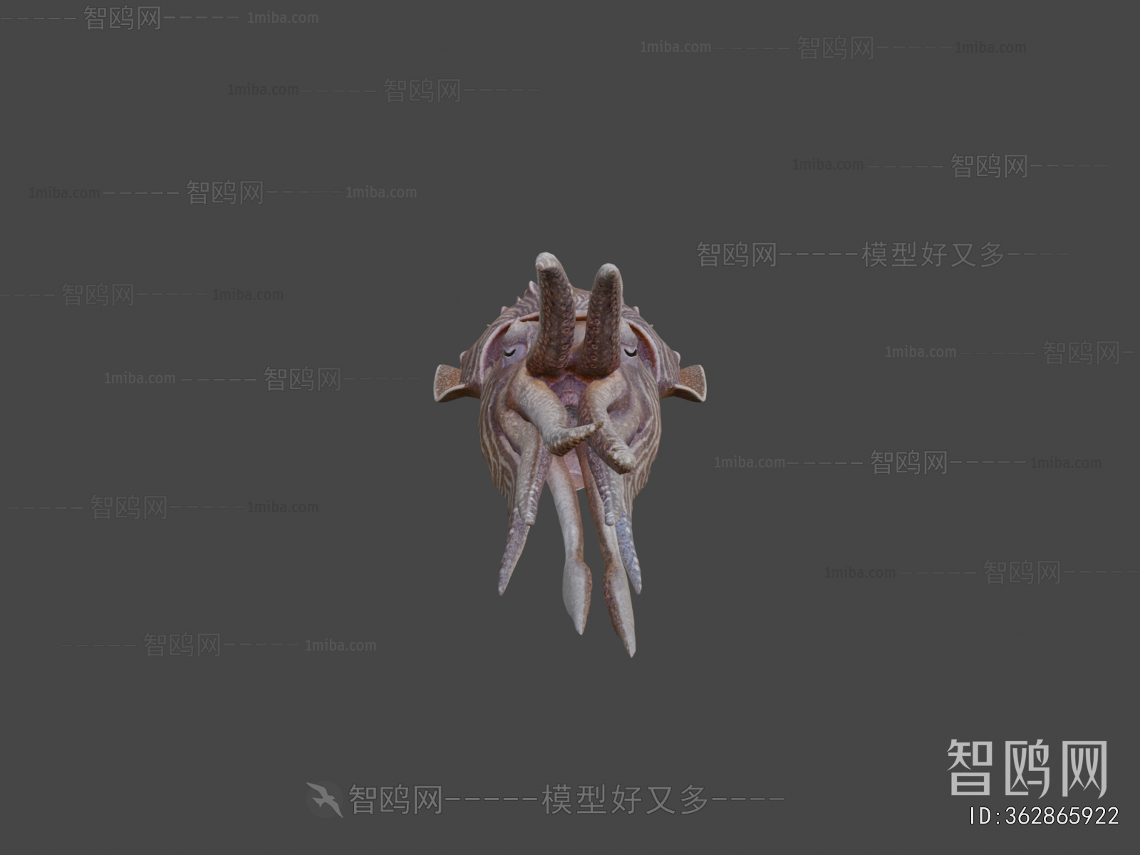 Modern Aquatic Animals