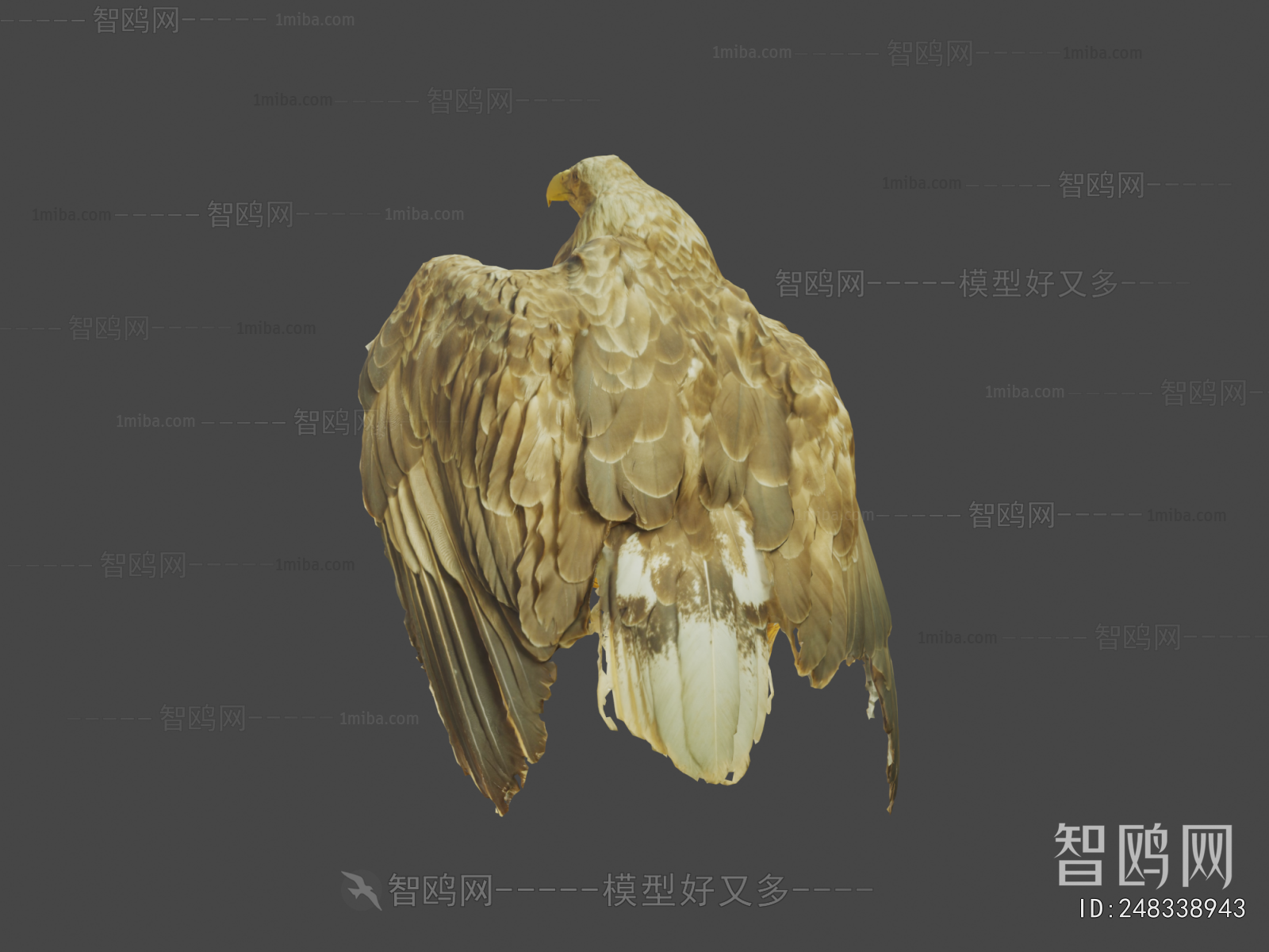 Modern Flying Animals