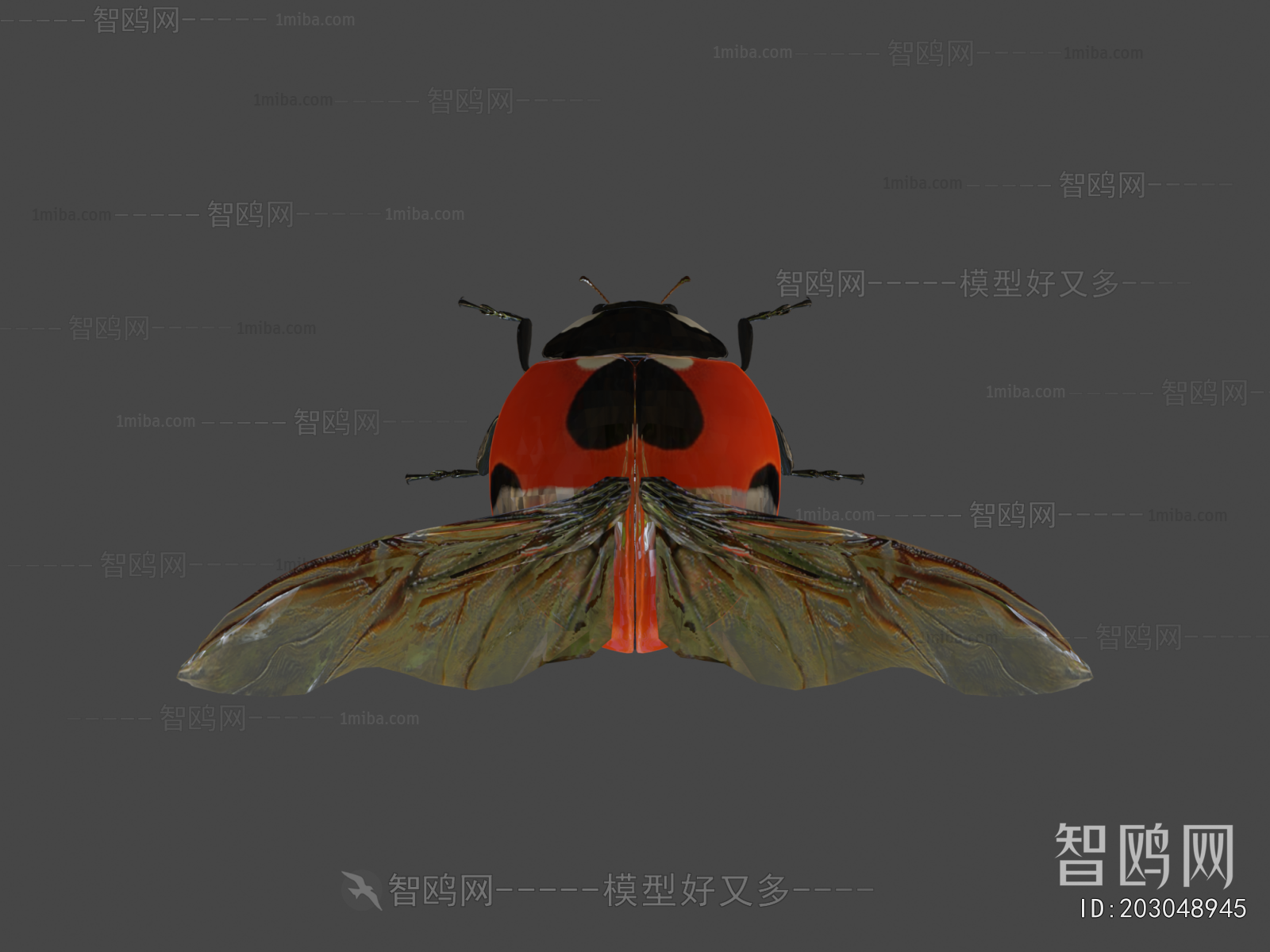 Modern Flying Animals