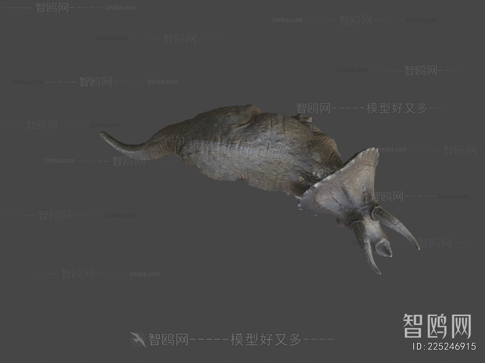 Modern Other Animals