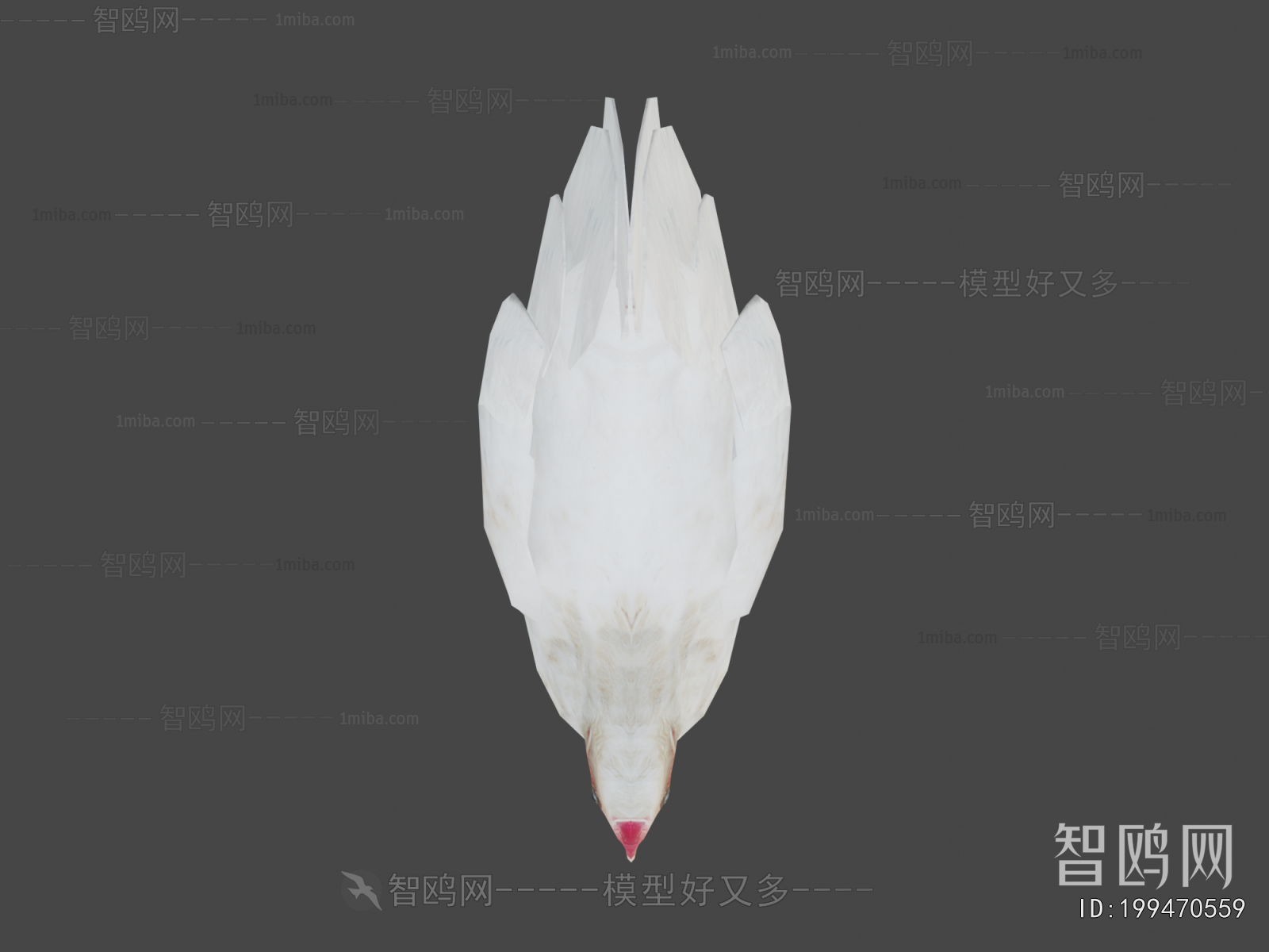 Modern Poultry Animal