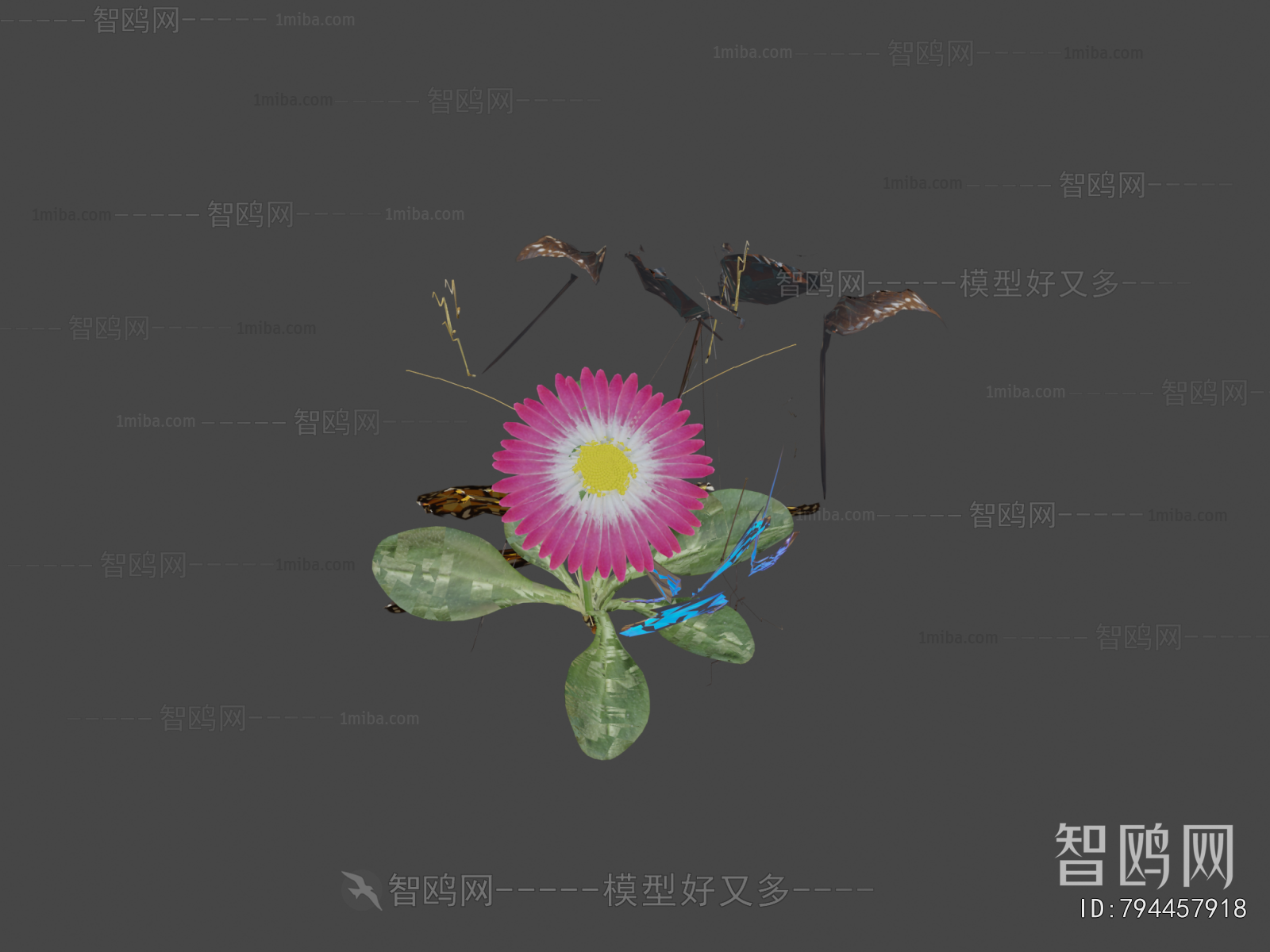 Modern Flying Animals