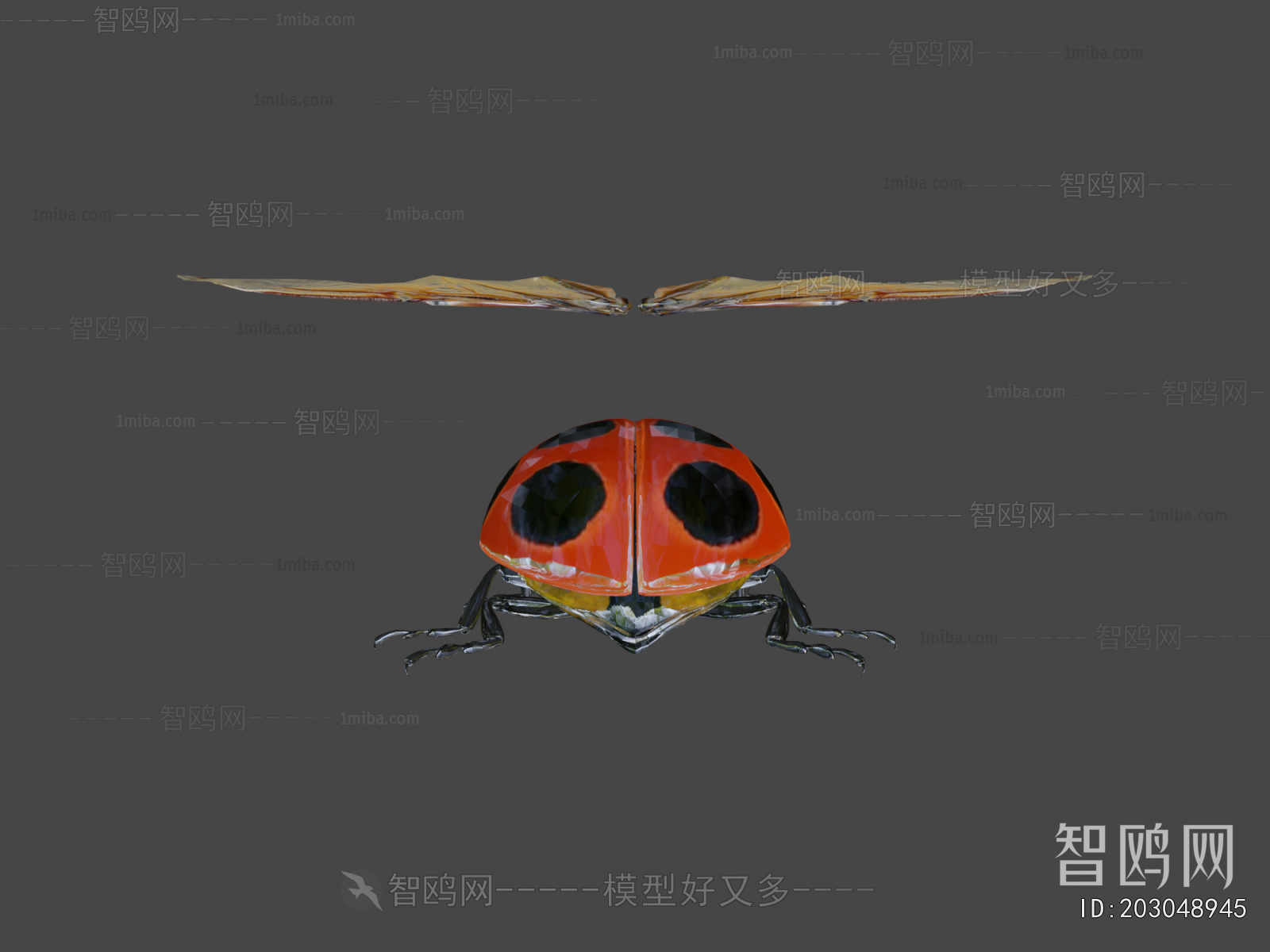 Modern Flying Animals