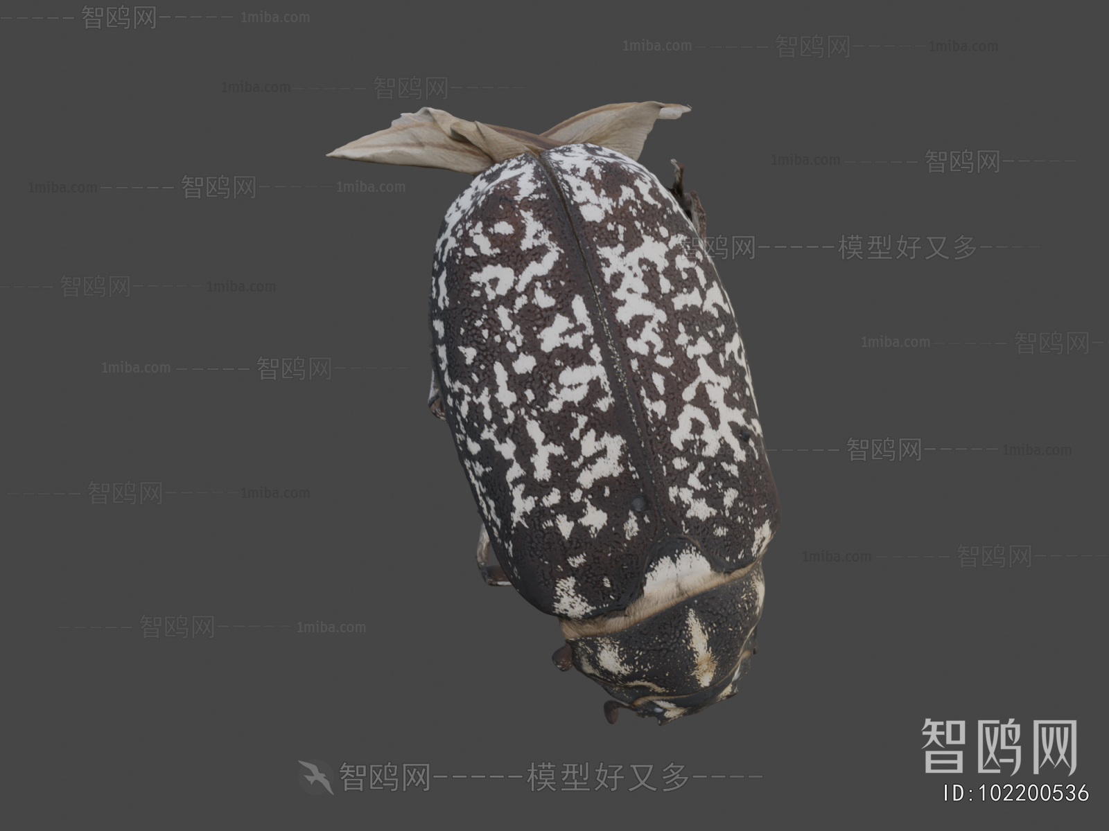 Modern Other Animals