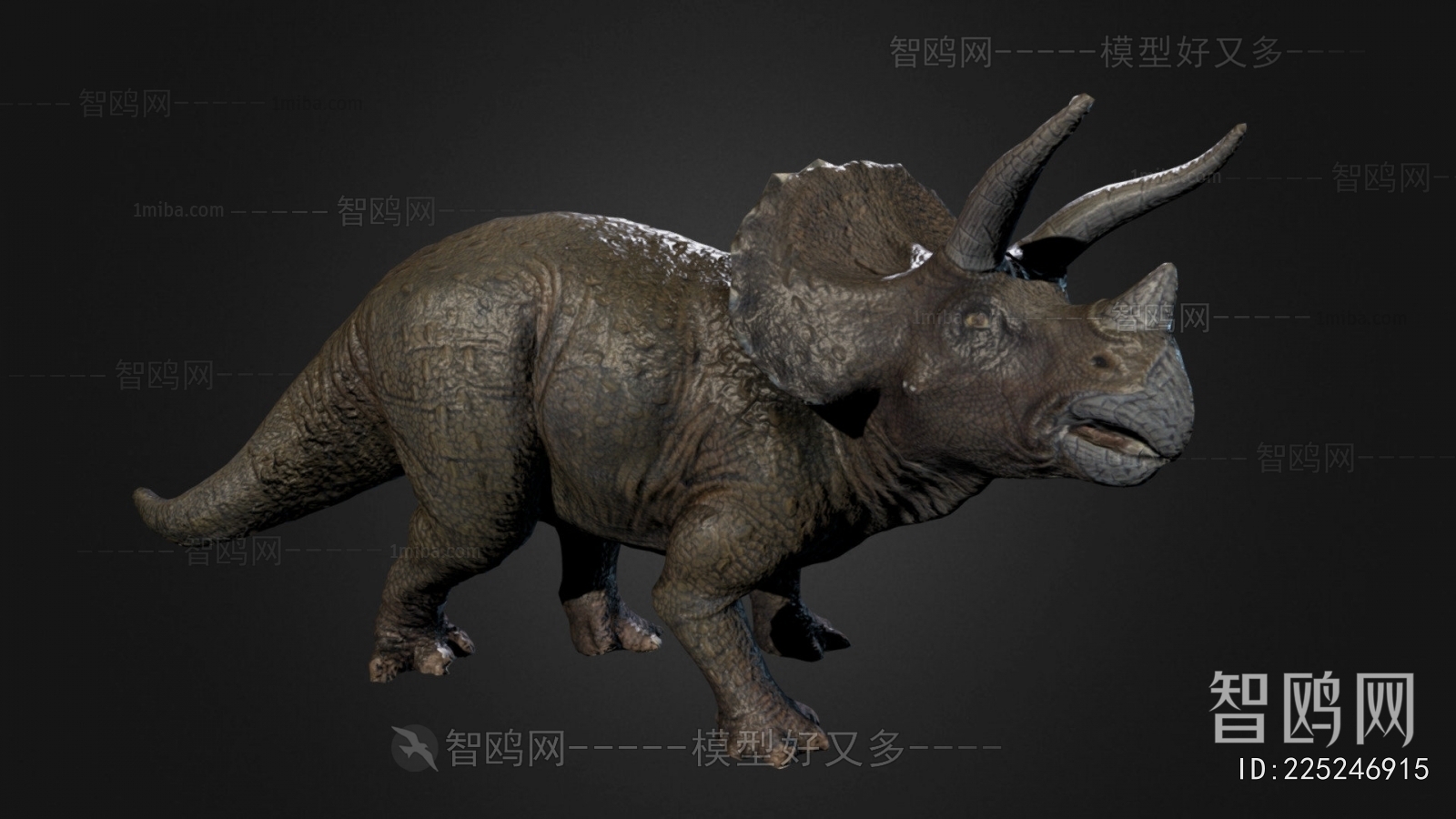 Modern Other Animals