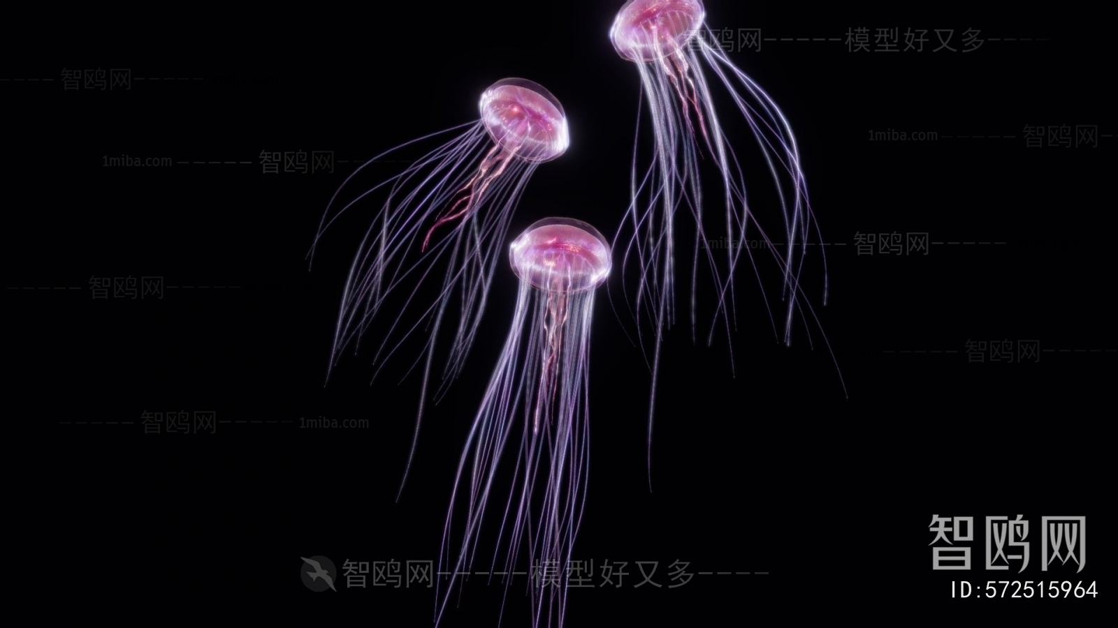 Modern Aquatic Animals