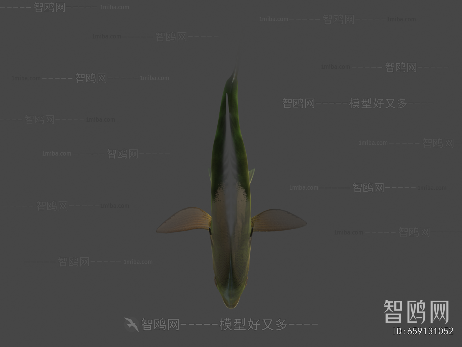 Modern Aquatic Animals