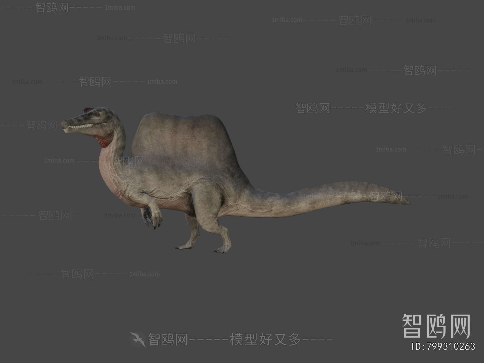 Modern Other Animals