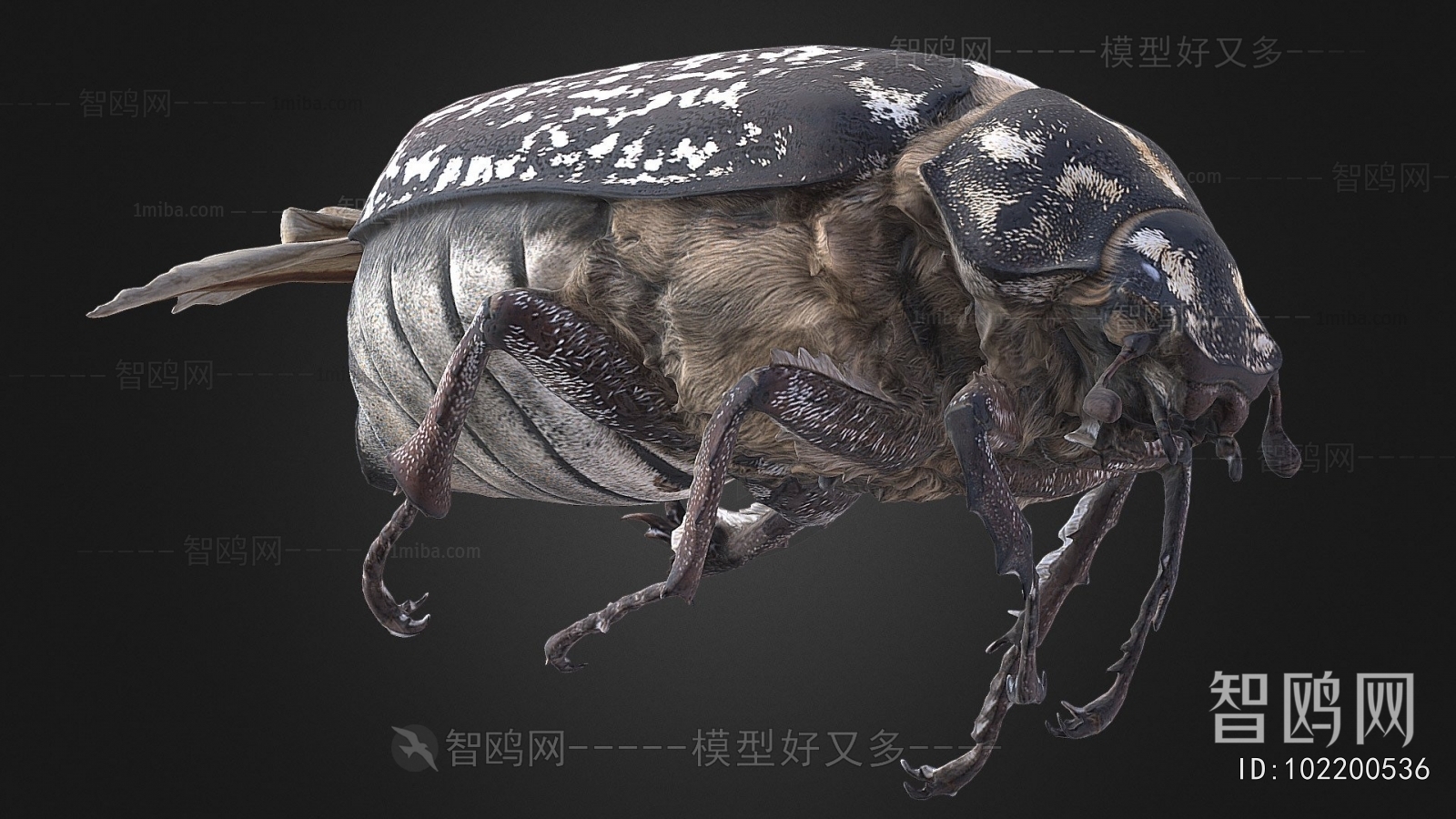 Modern Other Animals