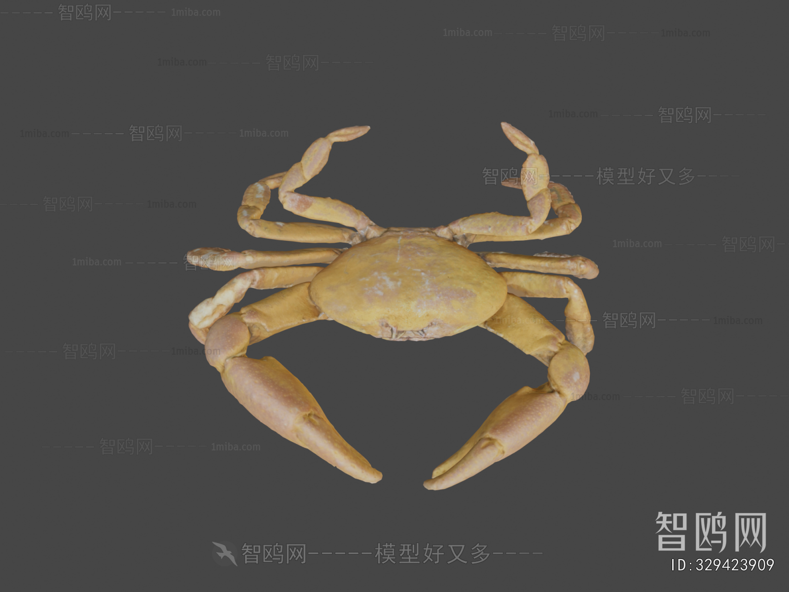 Modern Aquatic Animals