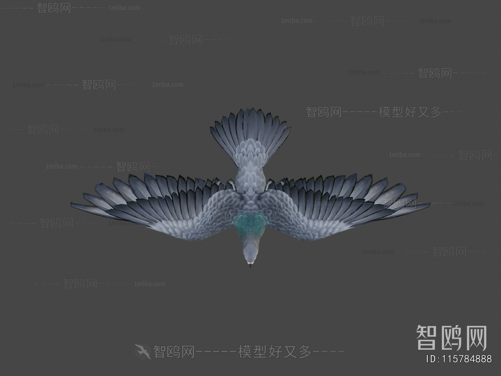 Modern Flying Animals