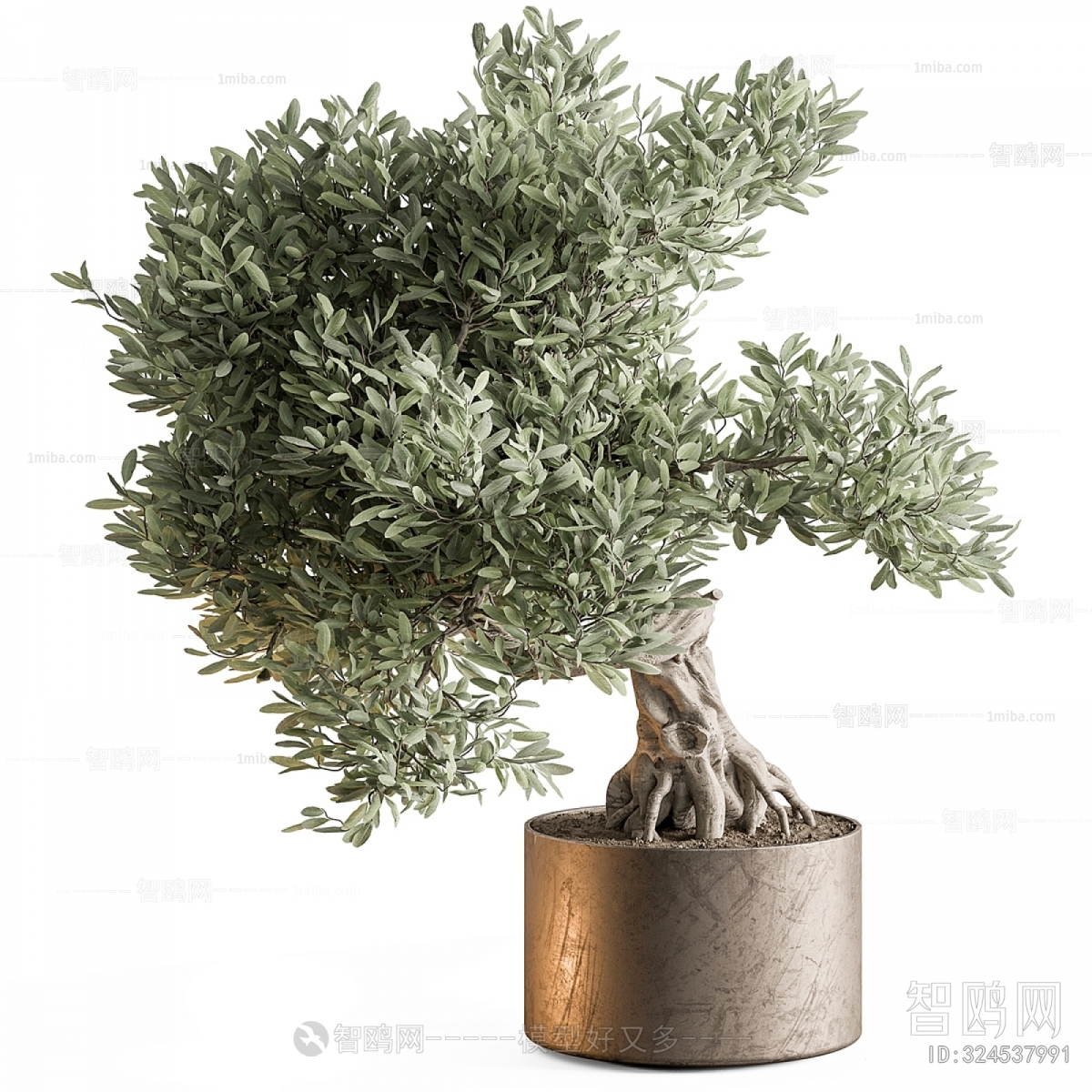 Modern Ground Green Plant Potted Plants