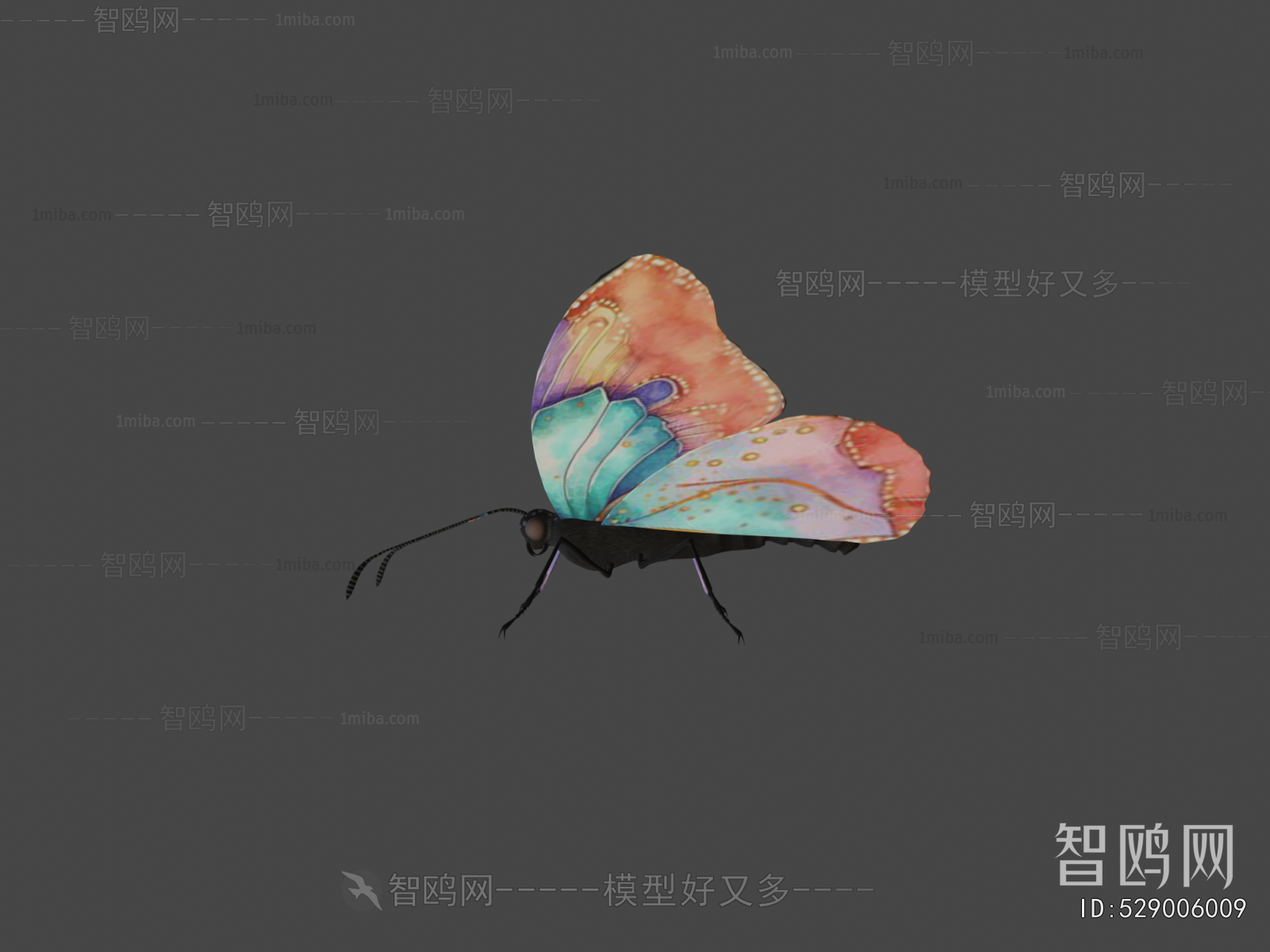 Modern Flying Animals