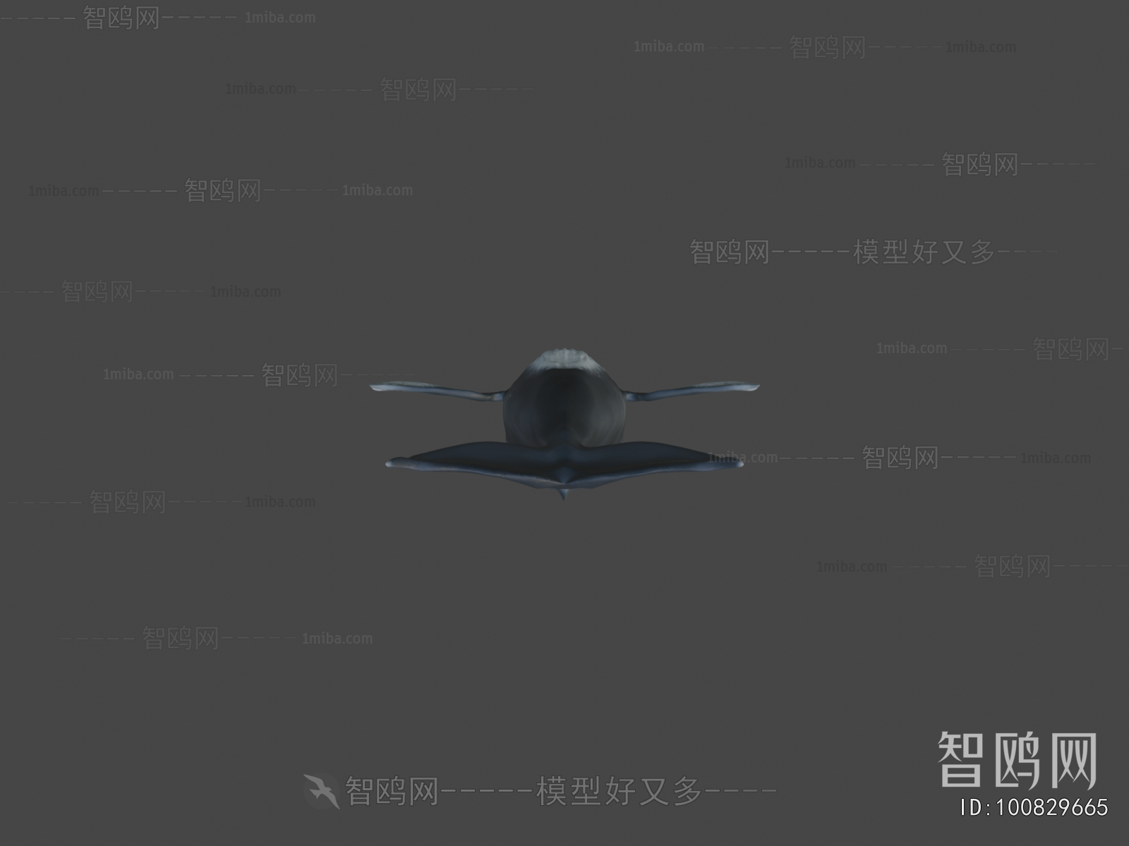 Modern Aquatic Animals