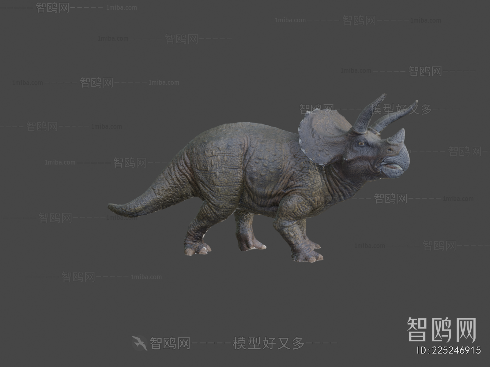 Modern Other Animals