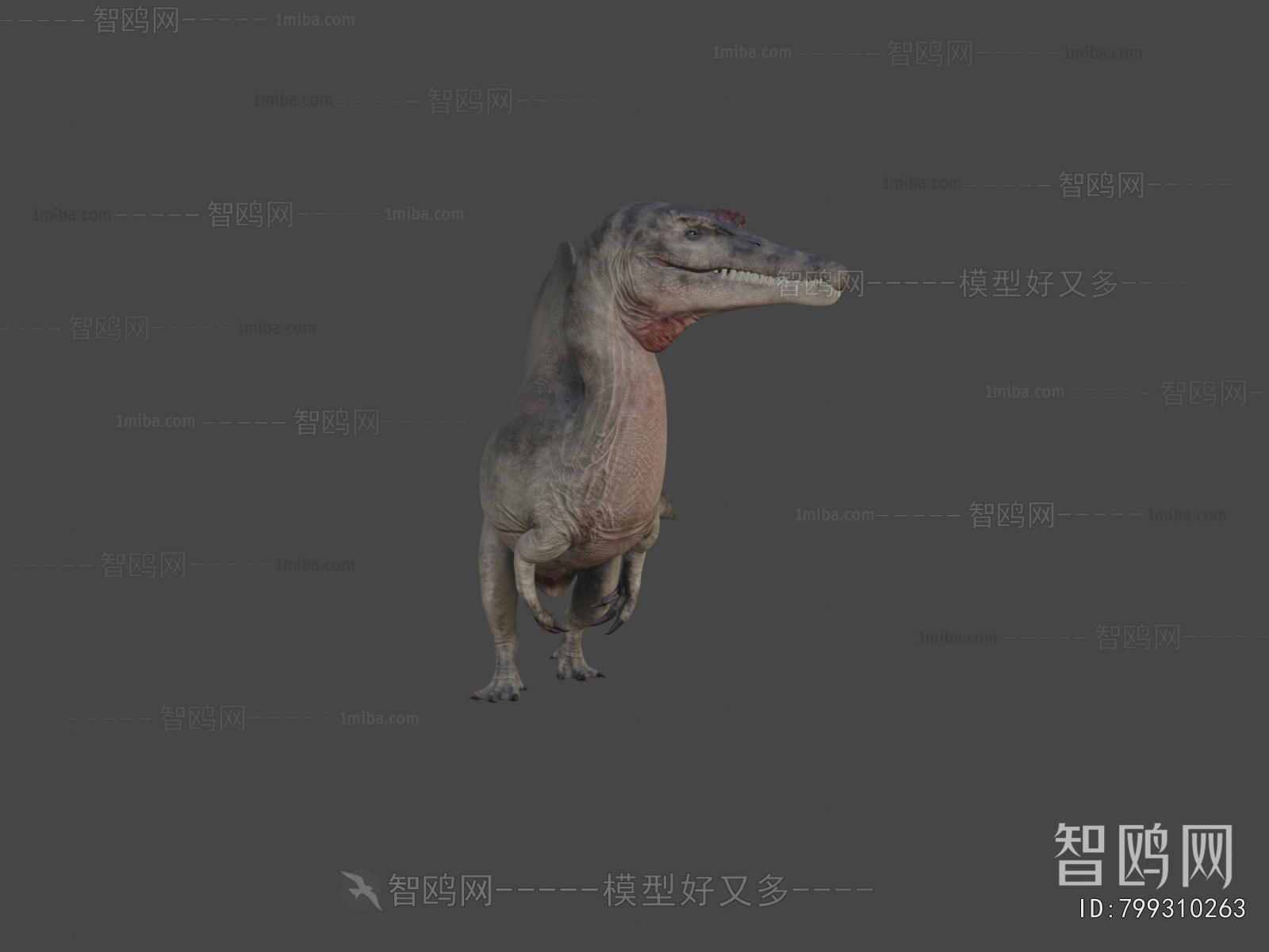 Modern Other Animals