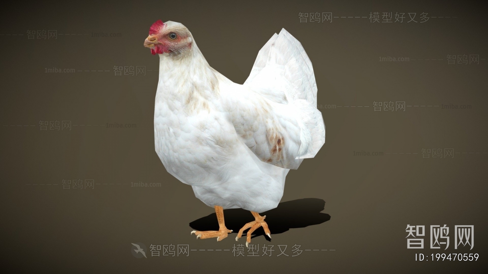 Modern Poultry Animal
