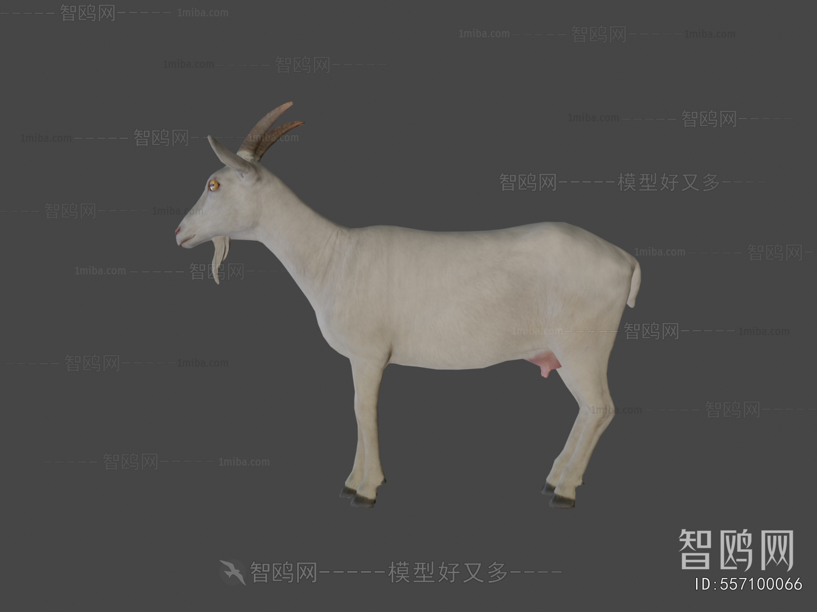 Modern Poultry Animal