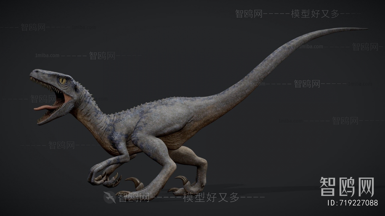 Modern Other Animals