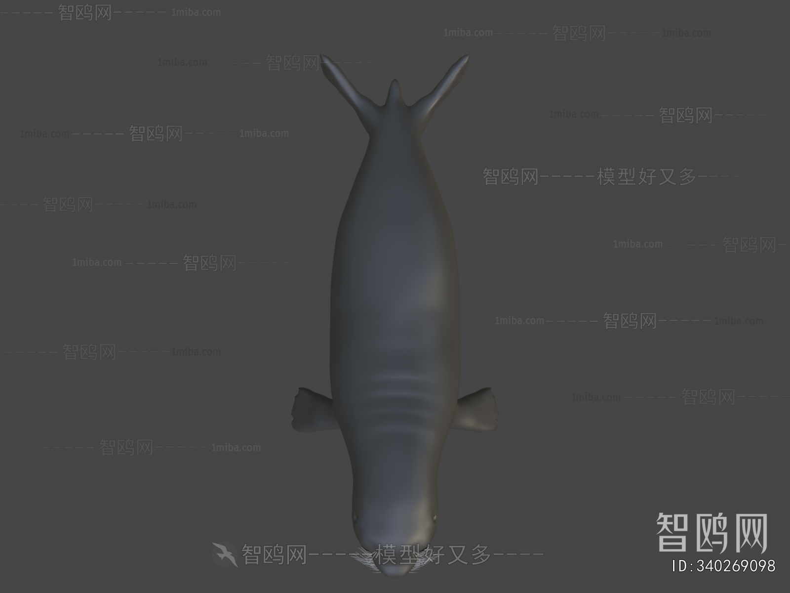 Modern Aquatic Animals