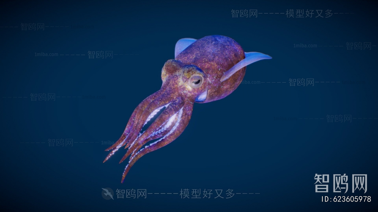 Modern Aquatic Animals