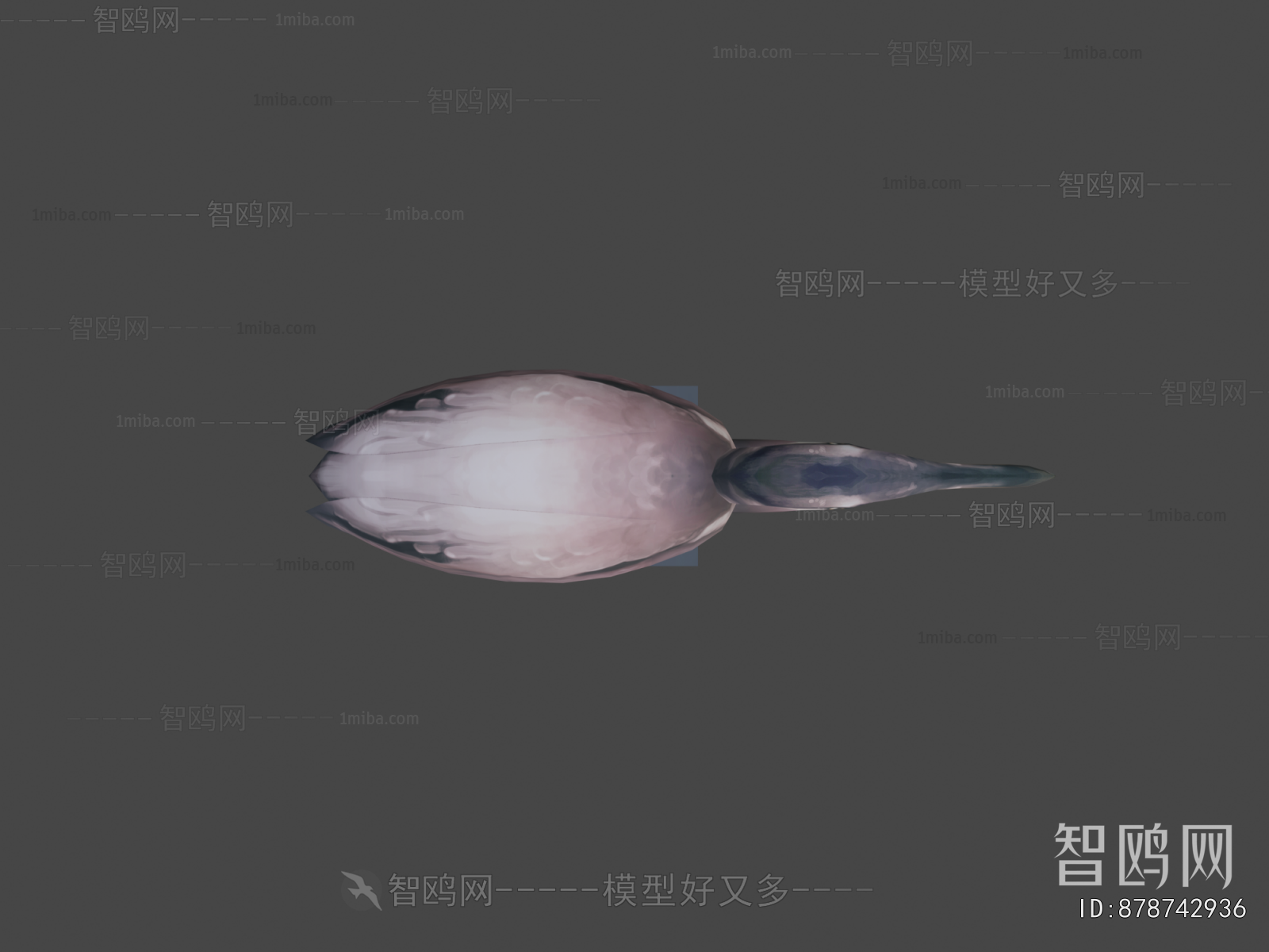 Modern Flying Animals