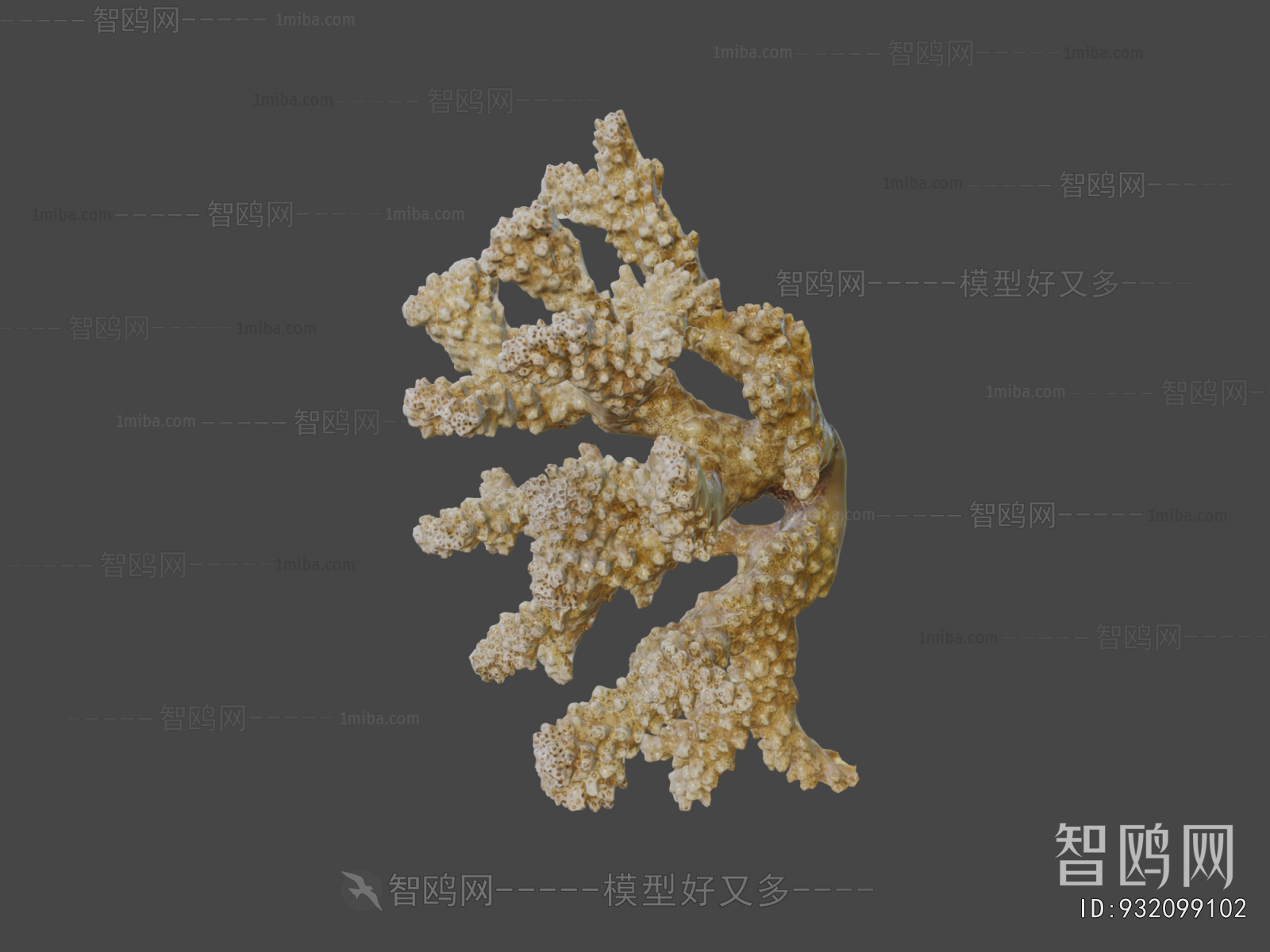 Modern Aquatic Animals