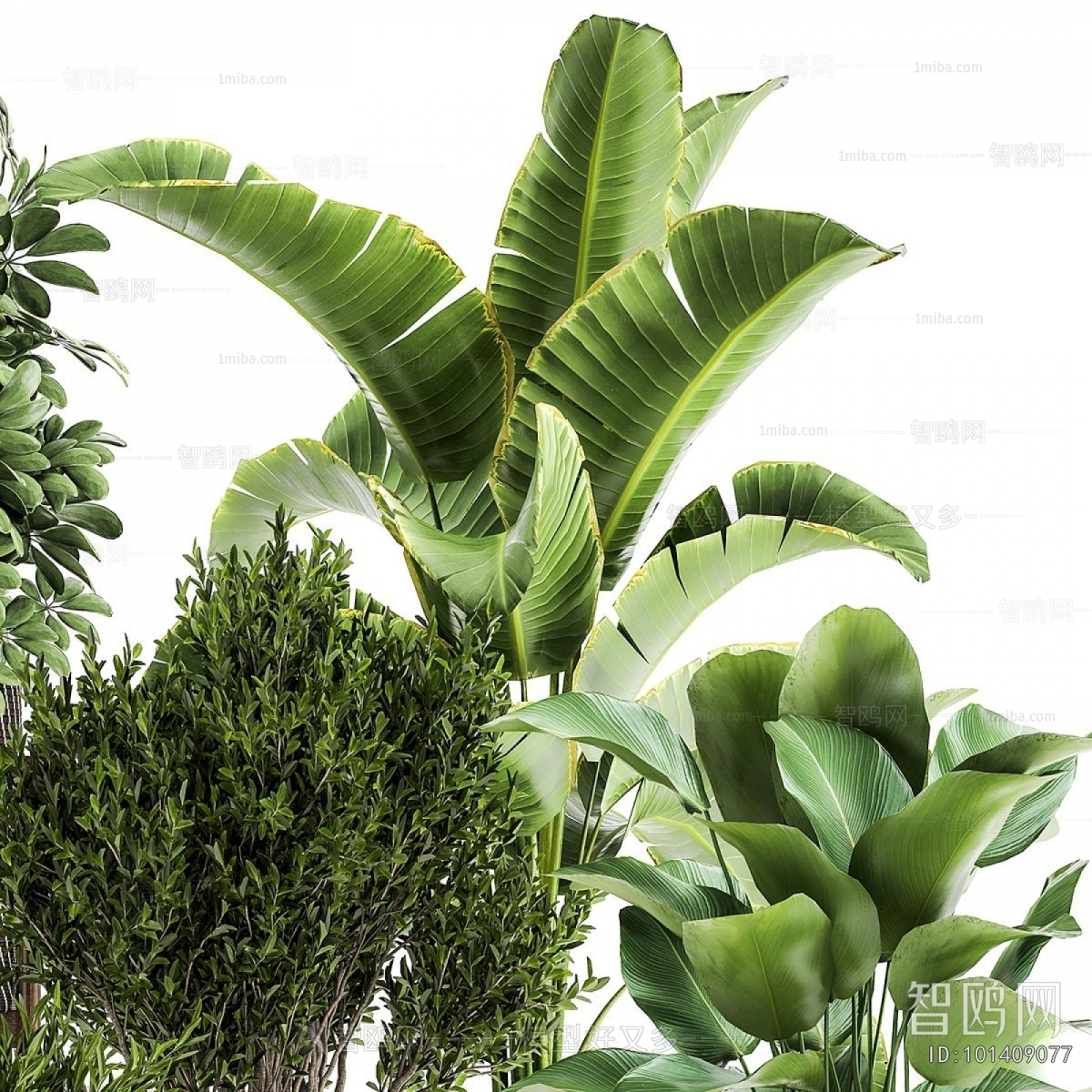 Modern Ground Green Plant Potted Plants