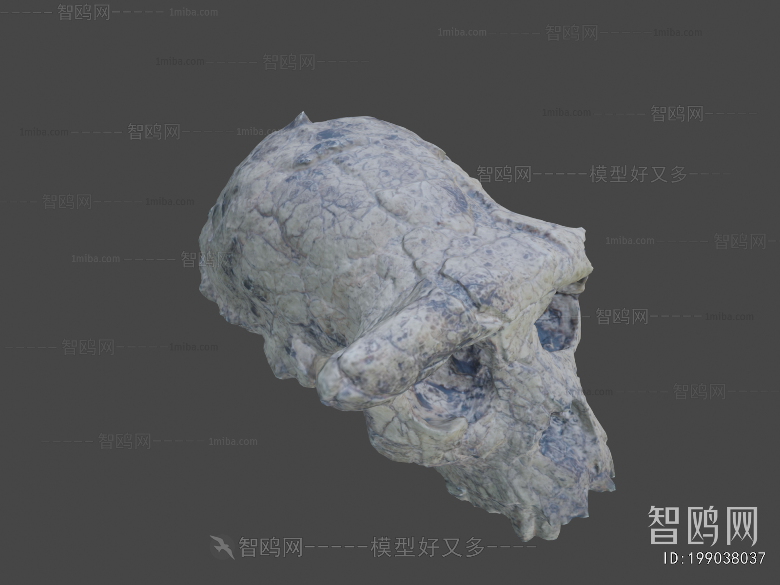 Modern Medical Equipment