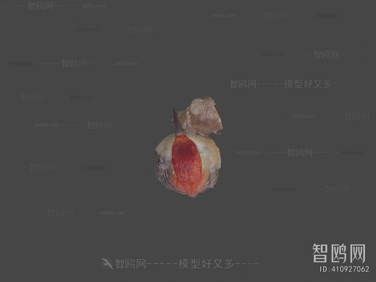 Modern Flying Animals