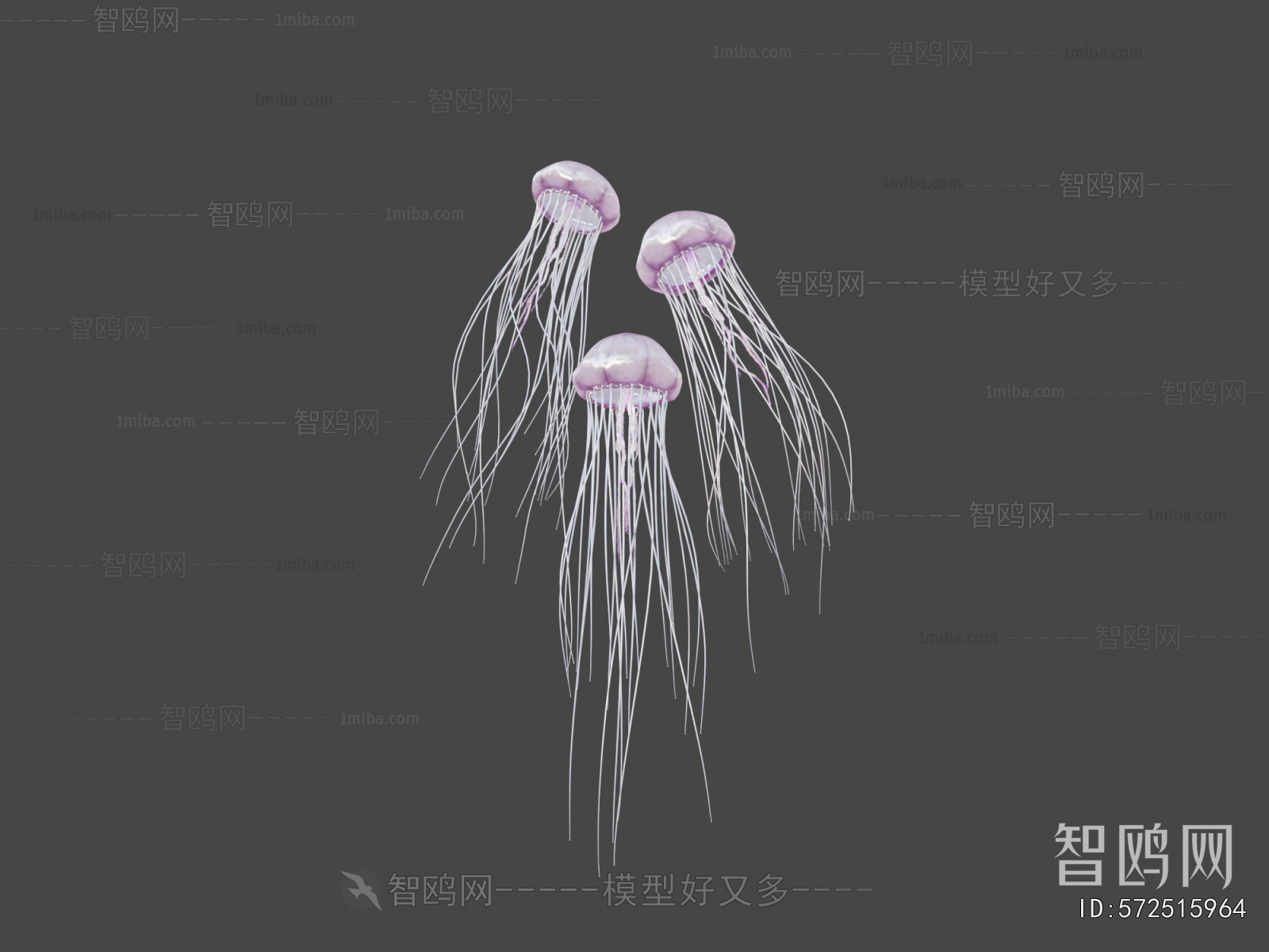 Modern Aquatic Animals