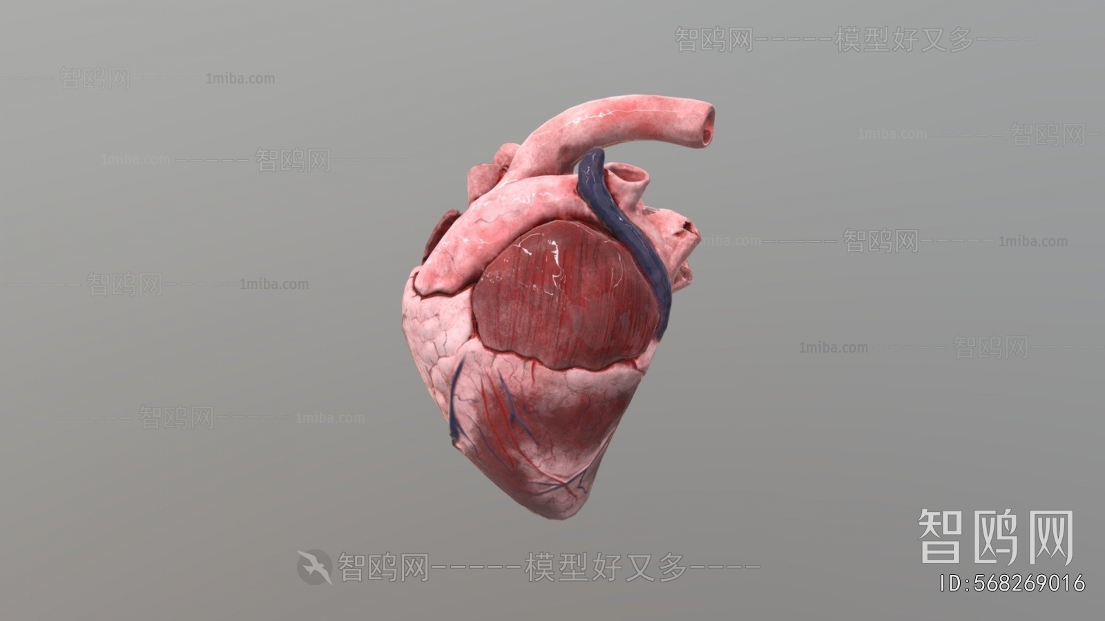 Modern Medical Equipment