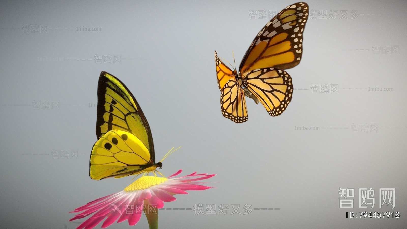 Modern Flying Animals